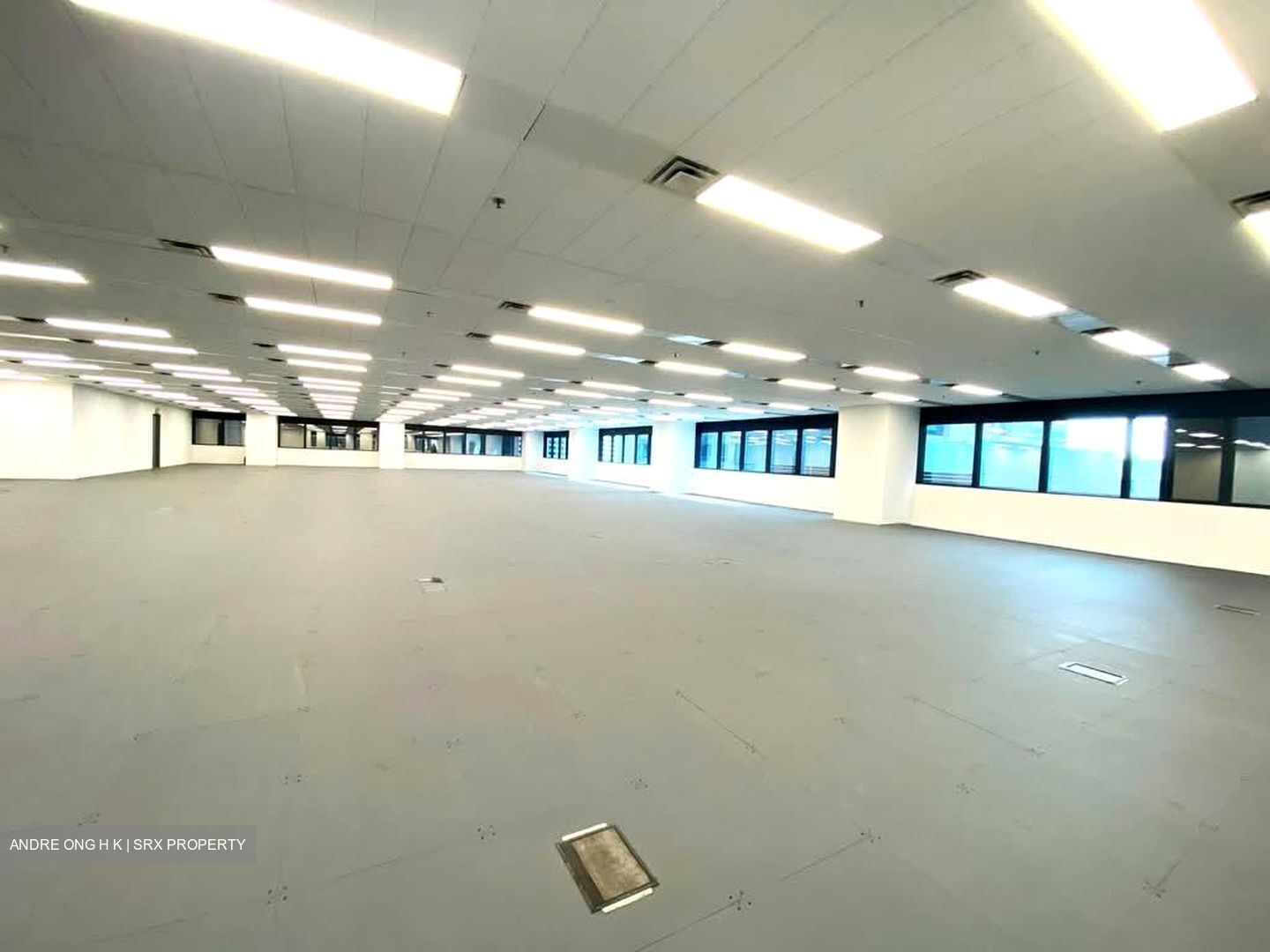 Robinson 77 (D1), Office #592830671